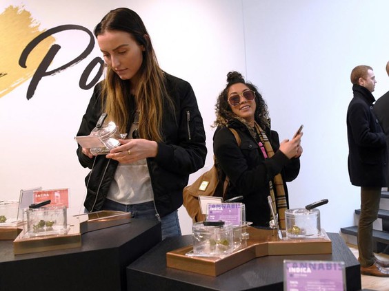 image of inside the Honey Pot Cannabis retail store